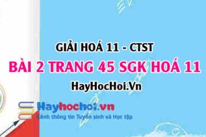 Giải bài 2 trang 45 Hoá 11 SGK Chân trời sáng tạo